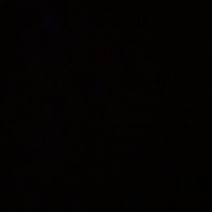 Meet your Posher, Alaa